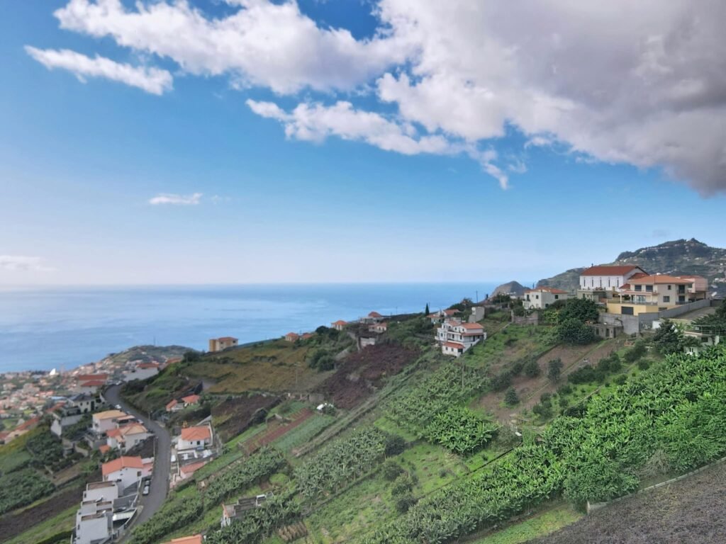 1C8B6C77-D63C-4FE8-9C85-ADACE67BFB43