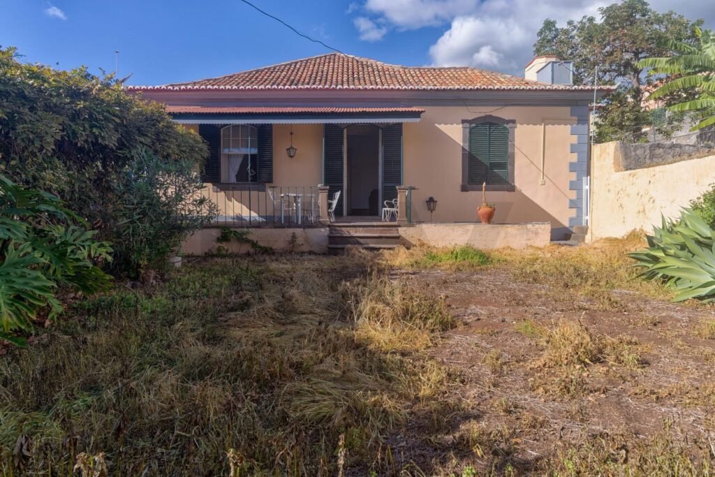 1EE1C9C5-F2CB-4D4C-A0B9-CFCE5E708B68