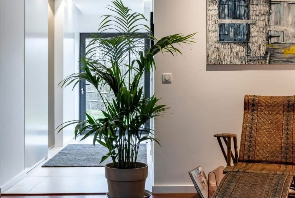 6A69636A-7565-432F-BC8E-2431A12DE507