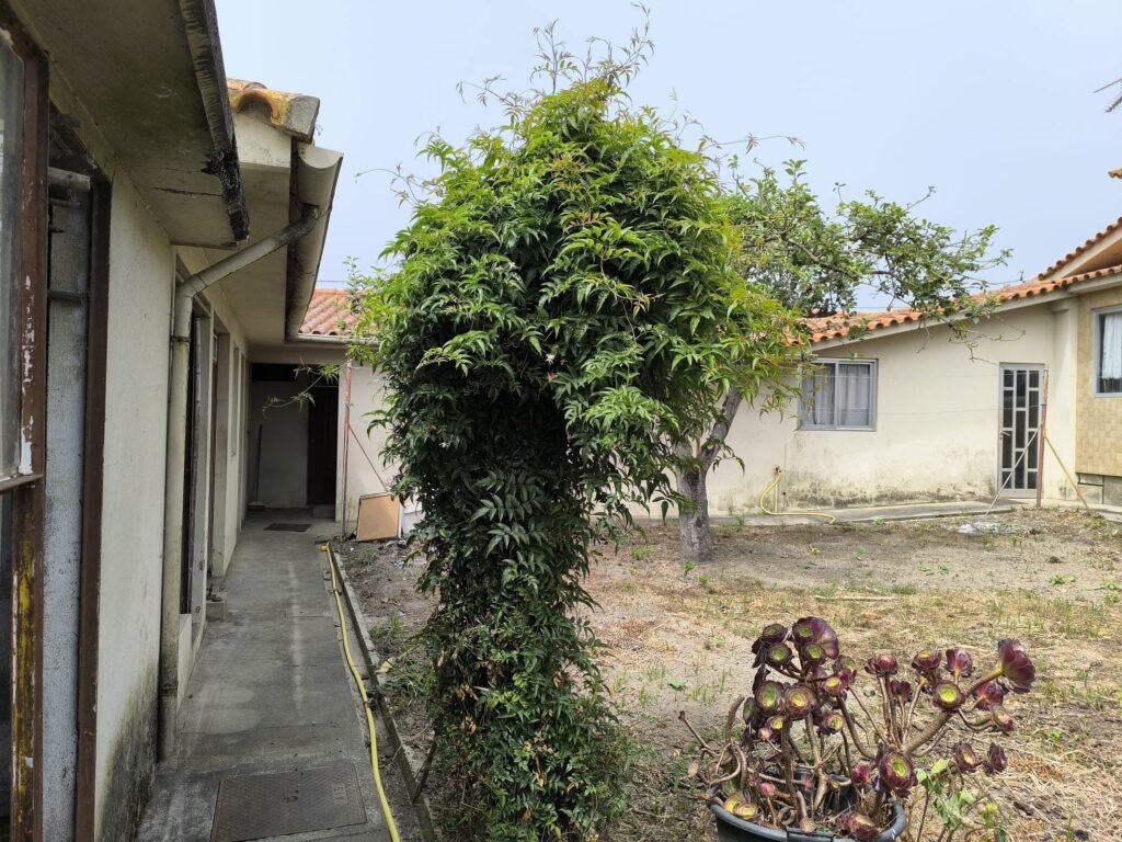 776F5C37-F360-4C08-962F-B16BFB56FA3C