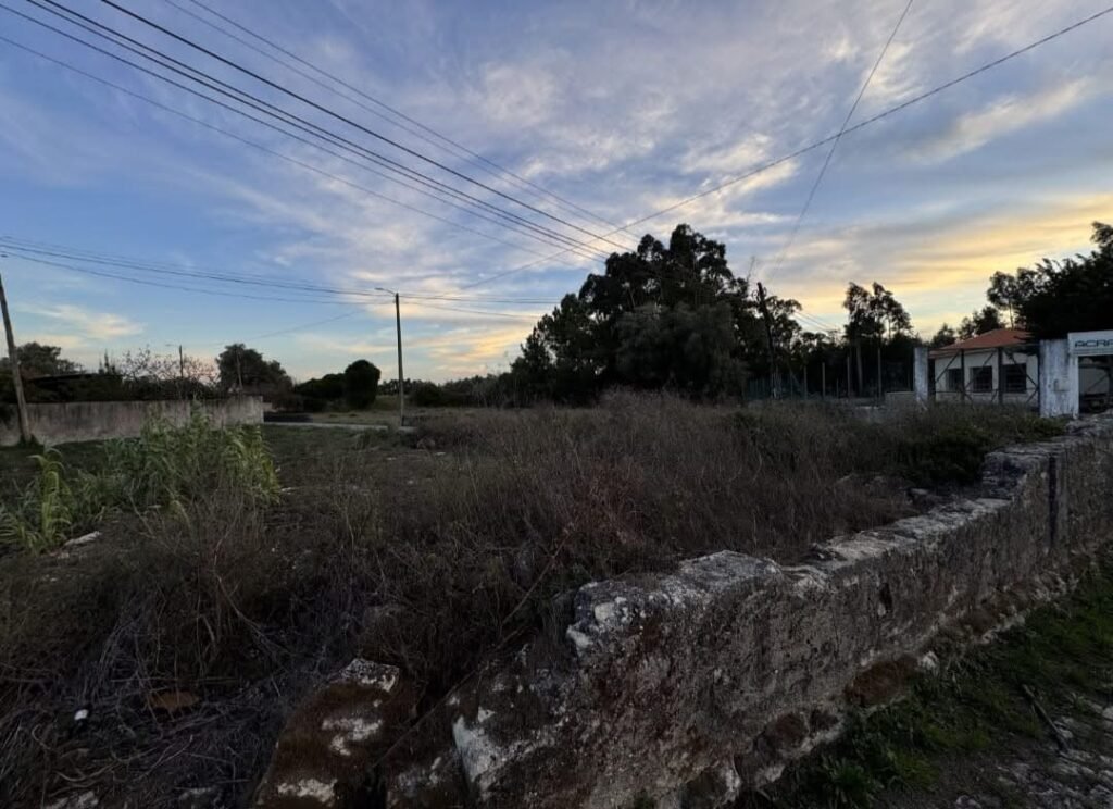 C2DAD74C-B0F6-4274-9583-F649D8186ECC