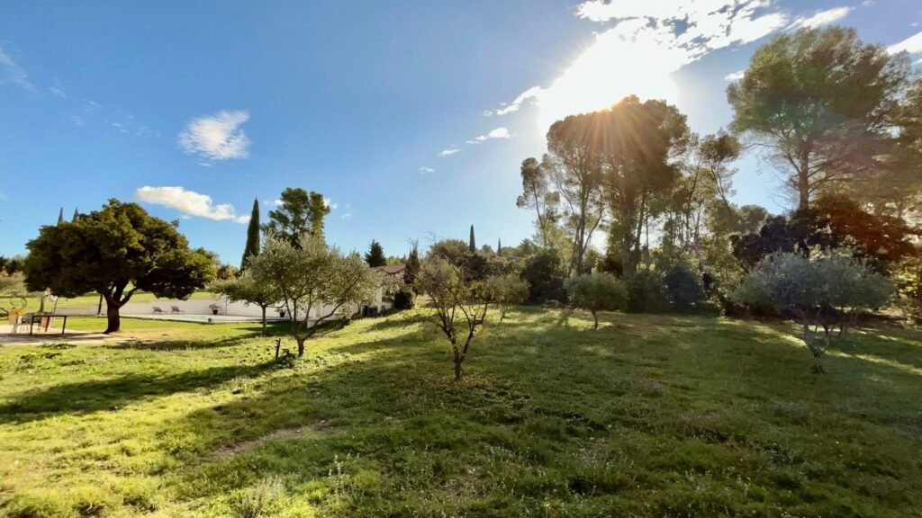 C6173391-3060-4339-8060-A90826CBF4F3