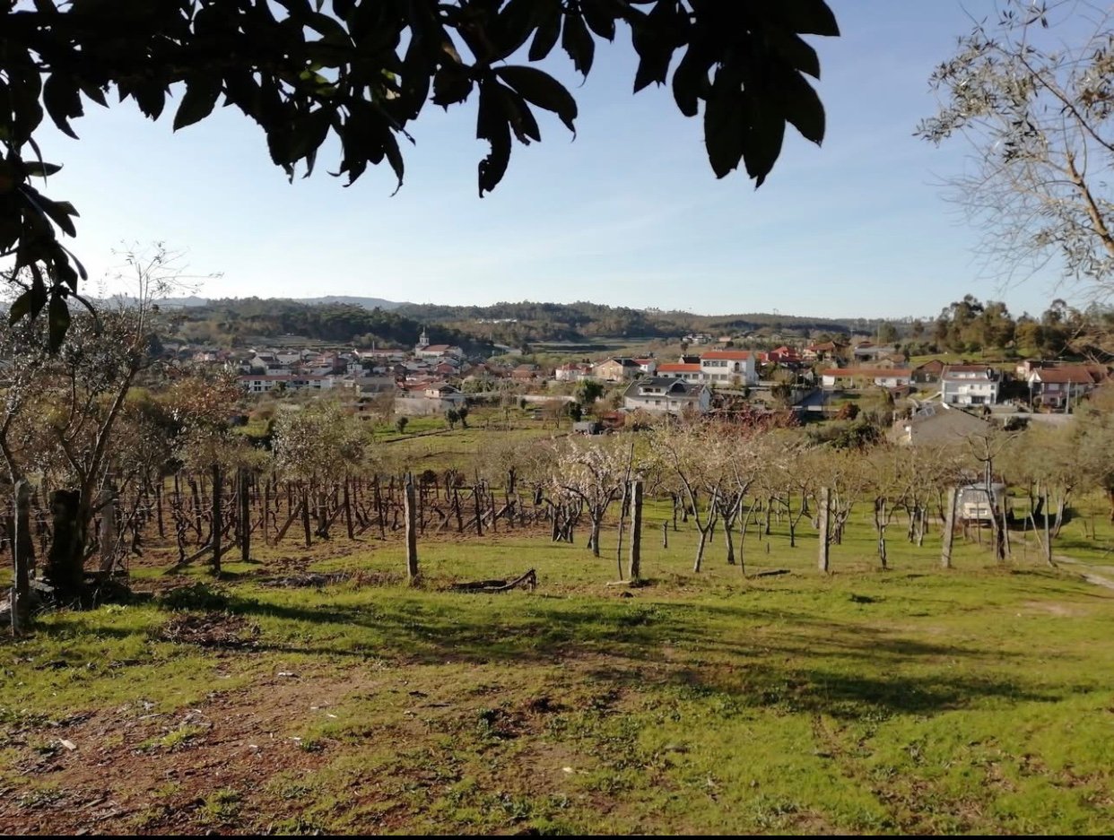 Charming 13,500m2 farmhouse in Tondela, Viseu, Portugal