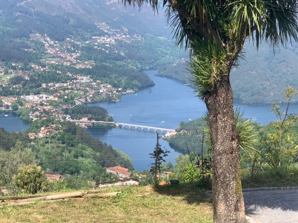 ED5EDEBC-E8A3-4766-9845-822F46E8229B