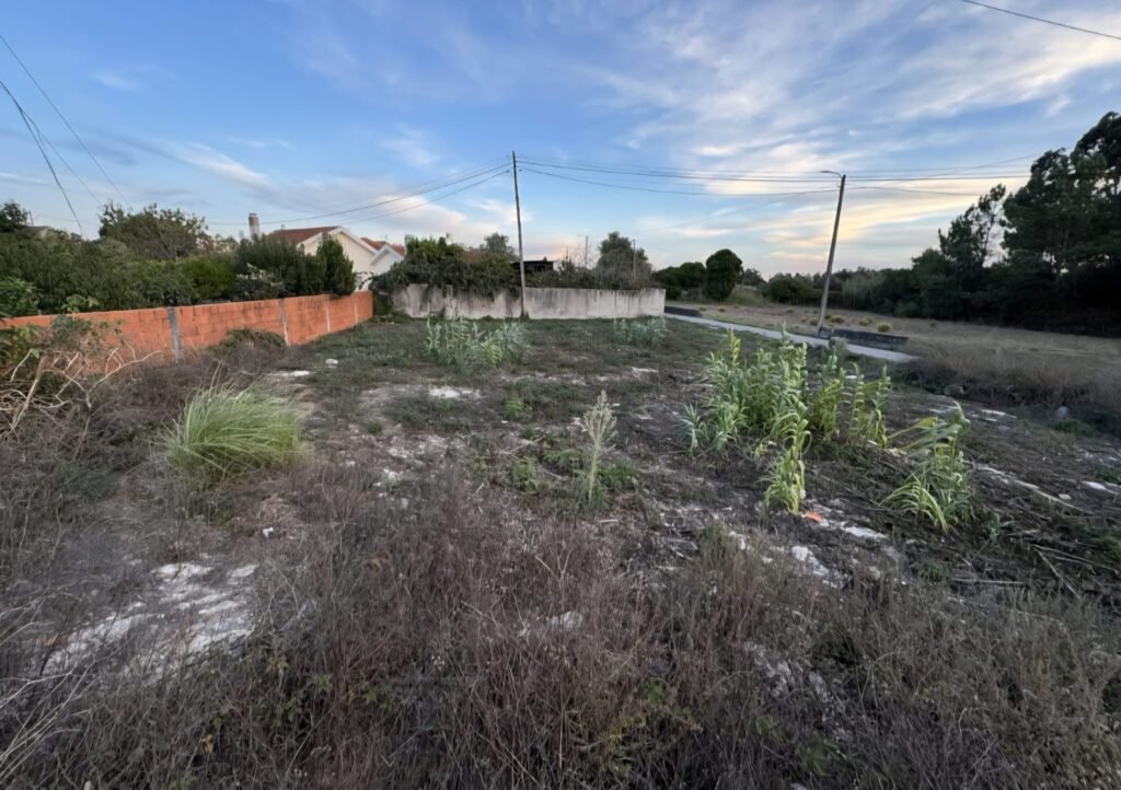 EE9BFF12-893B-4422-ADC1-9929CC3A0488