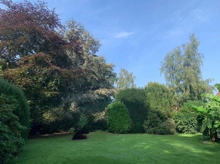 02B02A1F-0B1B-4E36-BBA0-E7679FFF4A2E