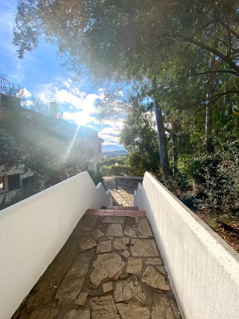 234FBE1E-8833-4C37-B460-F61E35816D86