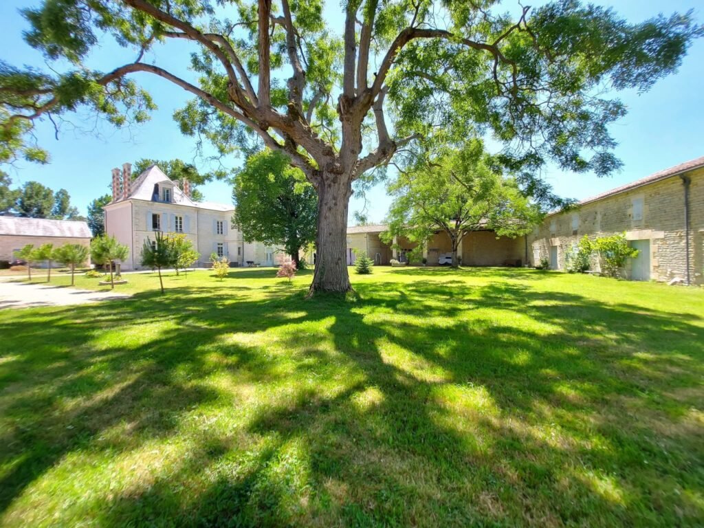 70E174F4-7F95-46BB-A10D-700FEC4C2388