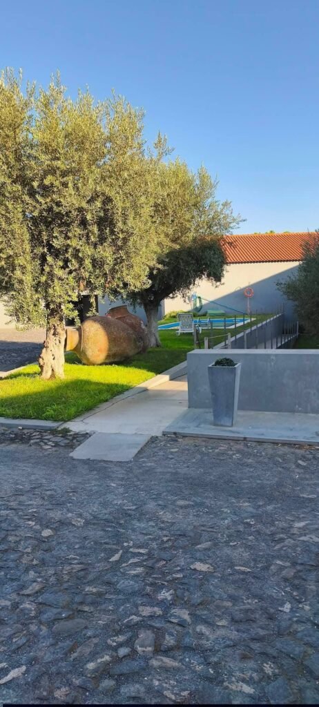 Magnificent apartment in Ferreira do Alentejo, Beja, Portugal - Only 1h30 from Lisbon