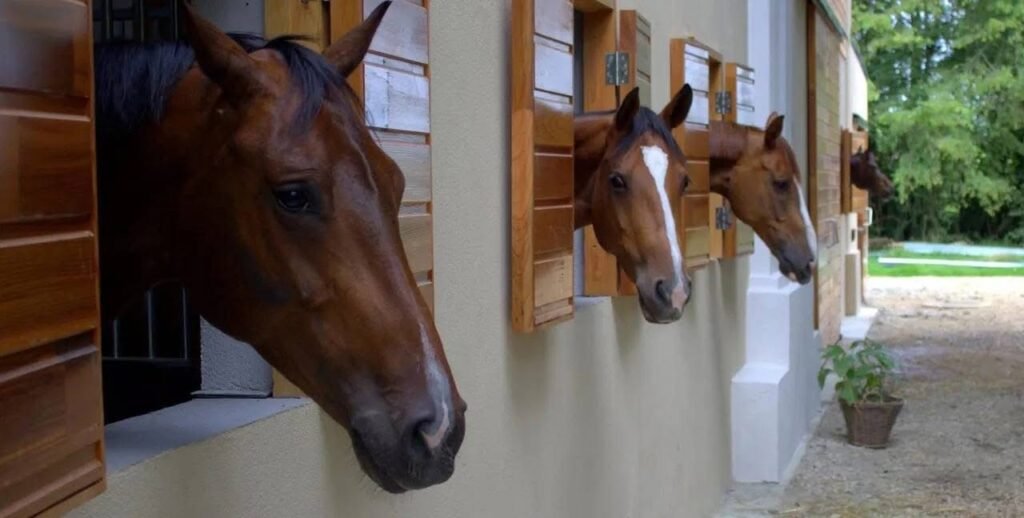 1182ABE3-9A4B-4EC9-B2C6-2AAD76611664