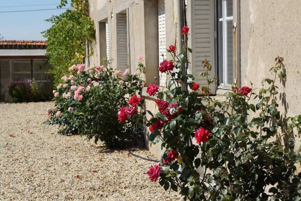 A218698E-19B7-43F6-B359-BB604516971C