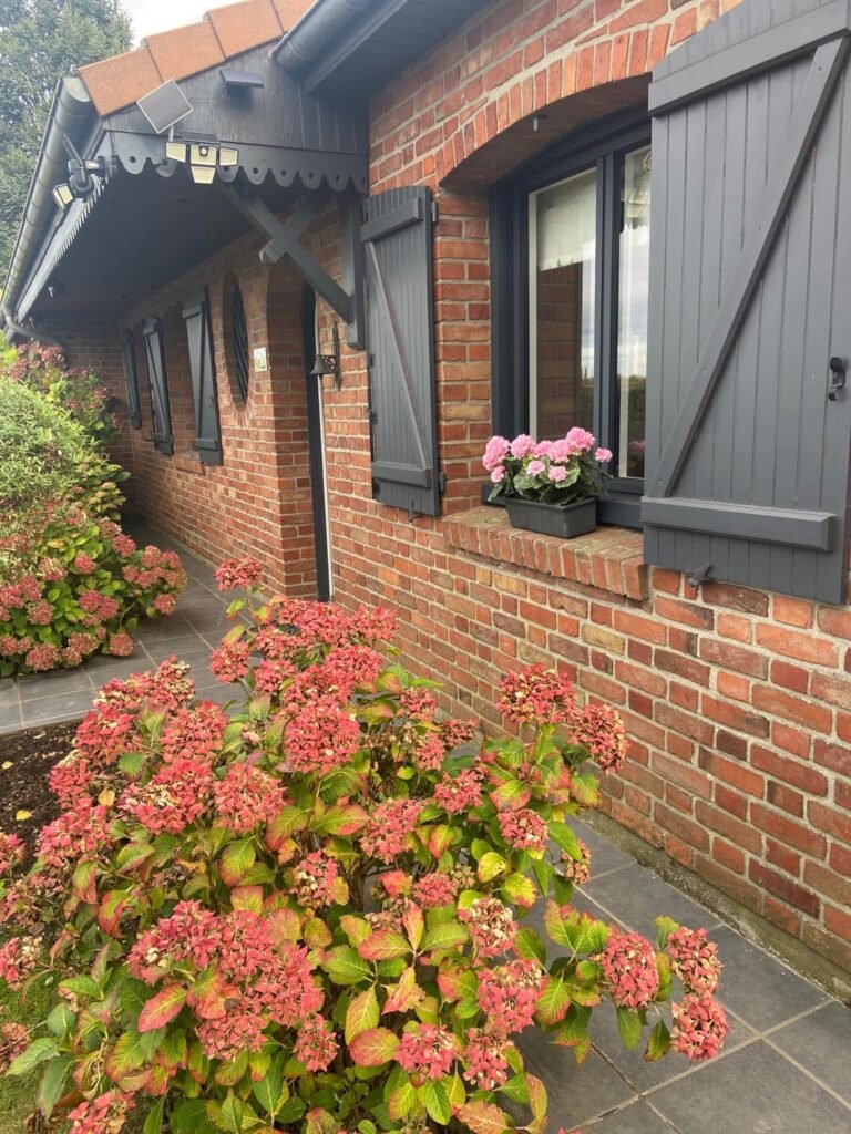 FEE39CB5-93BF-4368-92AE-6094828B3FD6