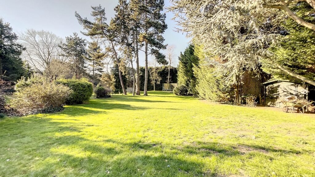 FCB9EB7E-AFAB-4BD3-8582-CA96F2FEB7FC