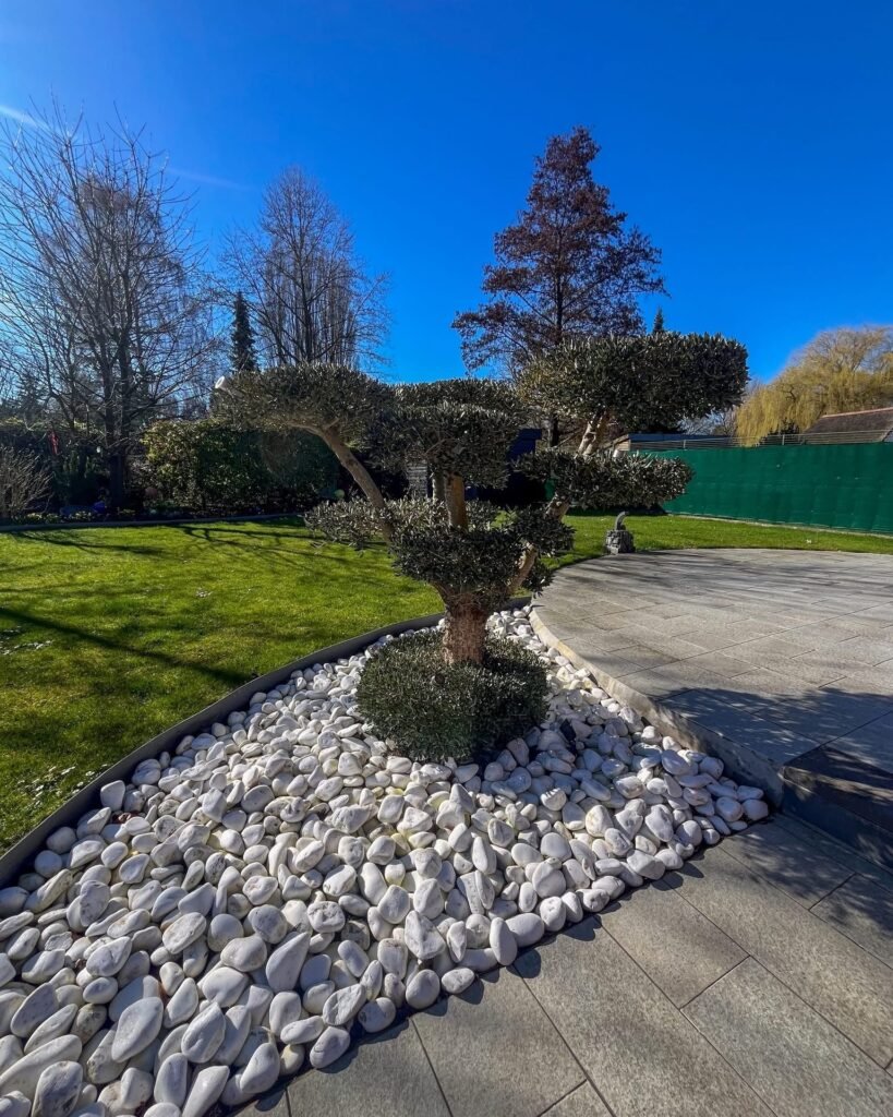 29D0F132-440C-41BE-905A-6E273FADEFCA