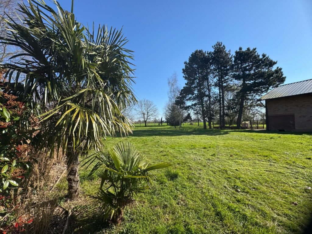 379DF931-0F17-42A3-A21E-C762BBC80BE3