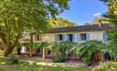 A Timeless Mas in Provence: Why This 19th-Century Estate is a Rare Opportunity for Investing in French Real Estate